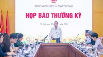 أبرز أسواق التصدير للمنتجات الزراعية والحرجية والمائية الفيتنامية في شهرين